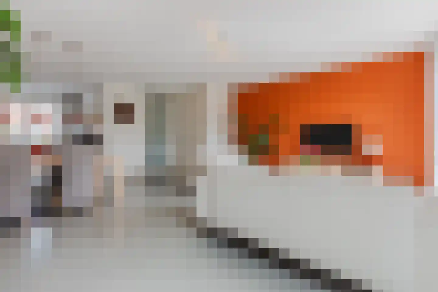 Draaistok 52 Boskoop thumbnail 10