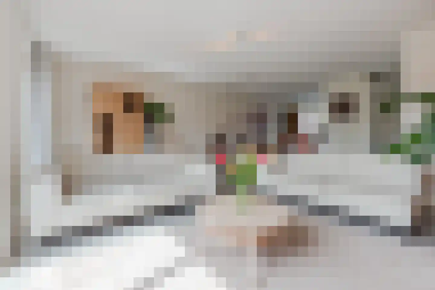 Draaistok 52 Boskoop thumbnail 11