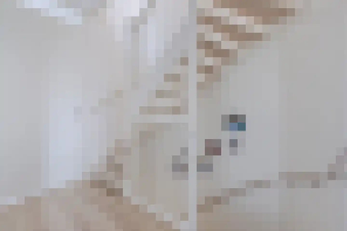 Draaistok 52 Boskoop thumbnail 27