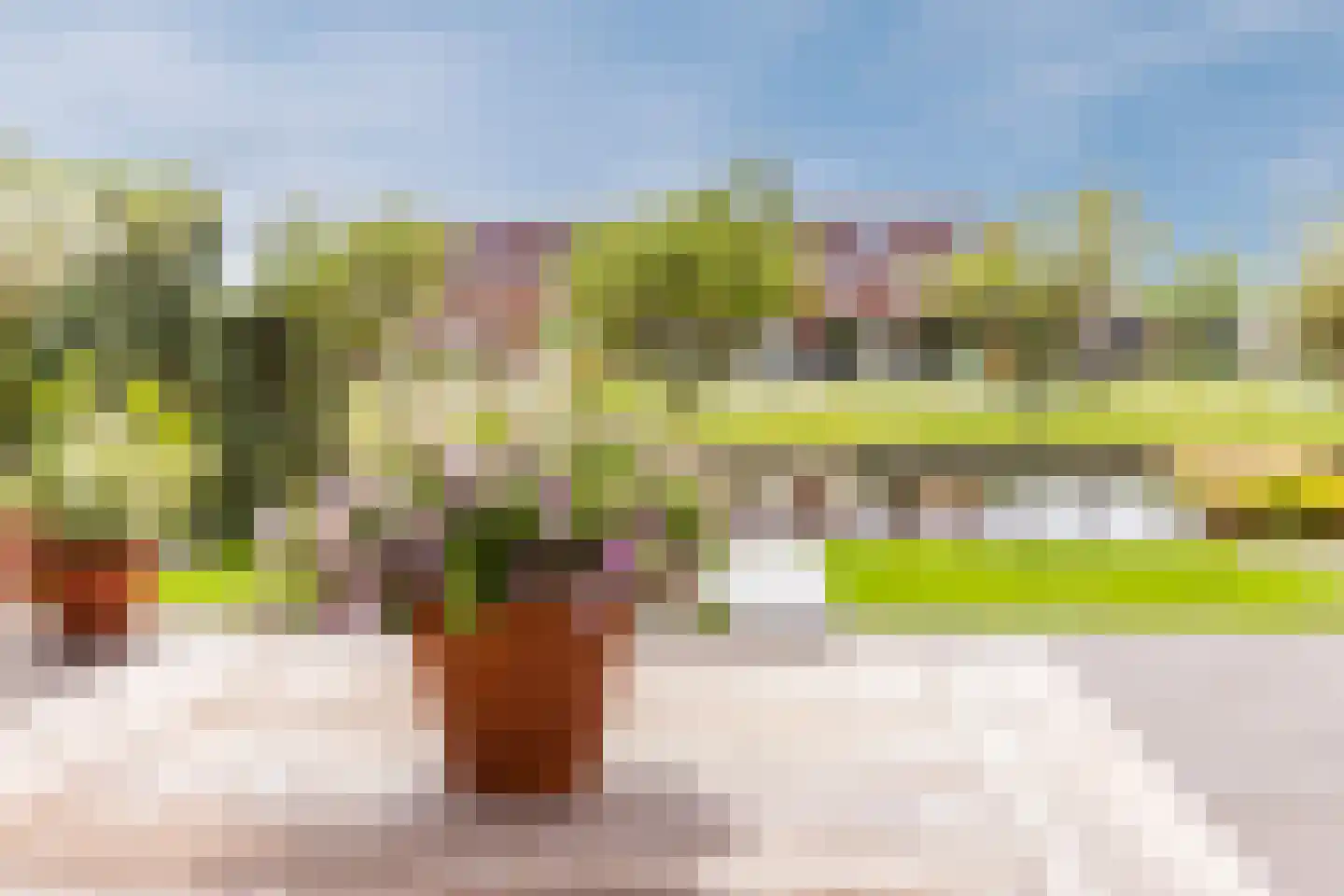 Draaistok 52 Boskoop thumbnail 37