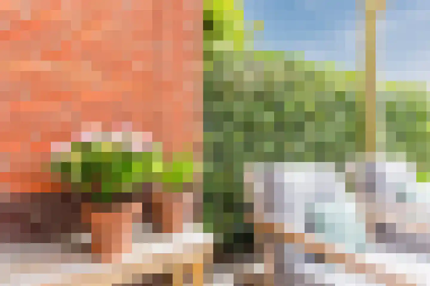 Draaistok 52 Boskoop thumbnail 38