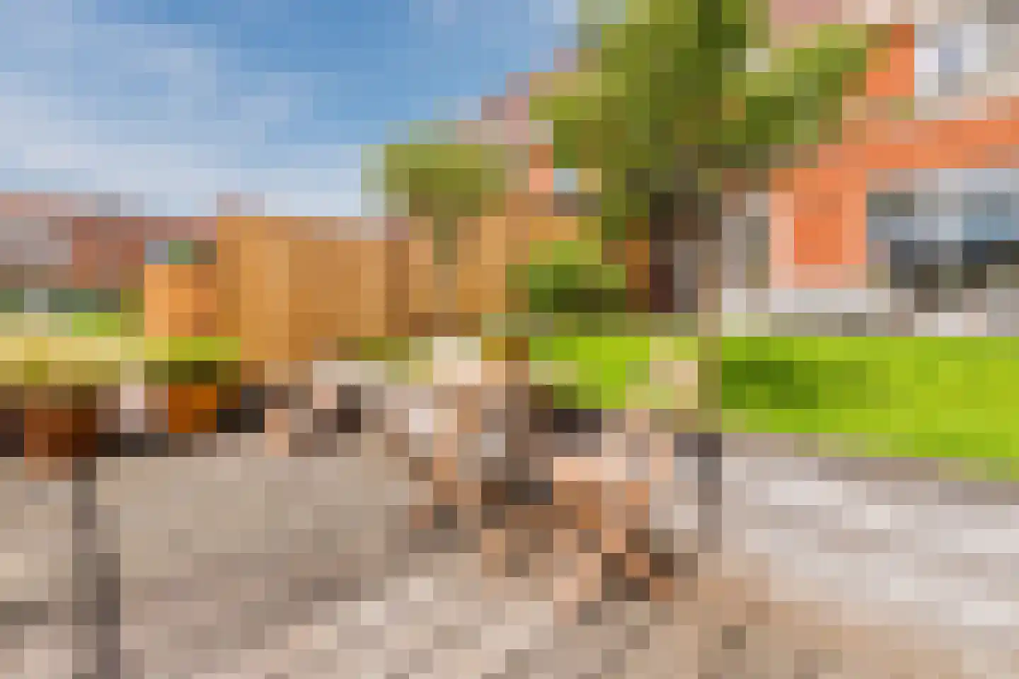 Draaistok 52 Boskoop thumbnail 42