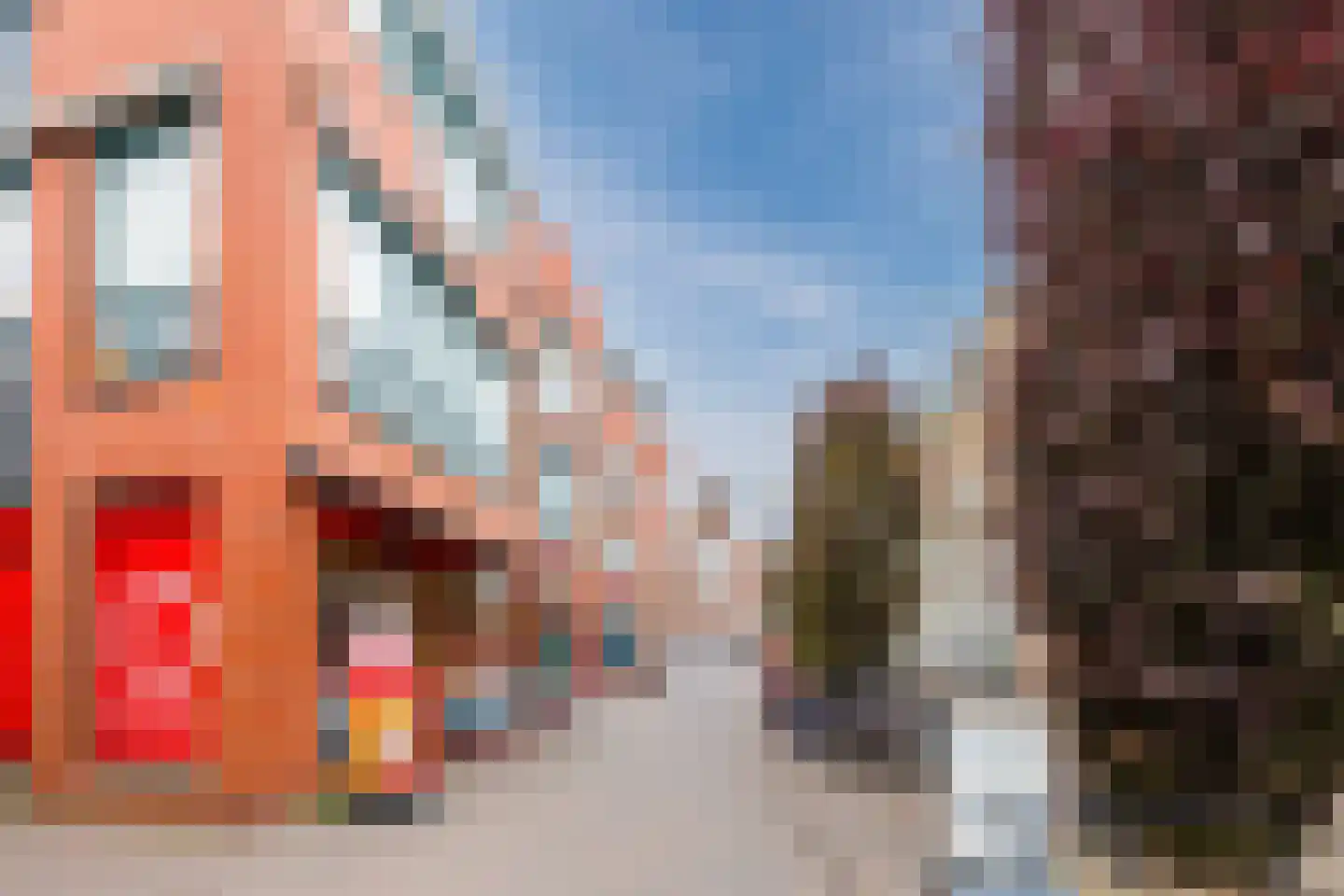 Draaistok 52 Boskoop thumbnail 57