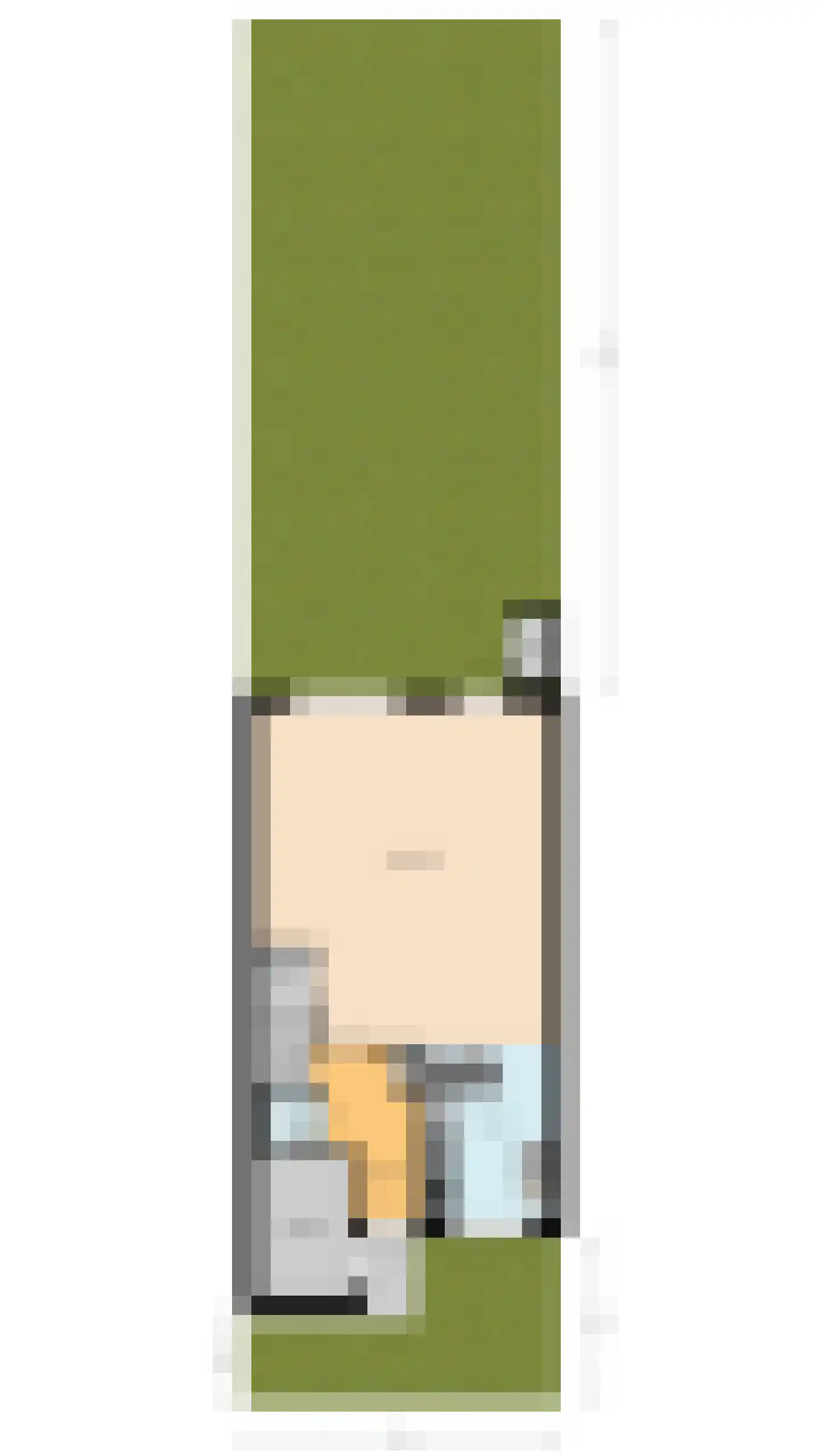Draaistok 52 Boskoop thumbnail 63