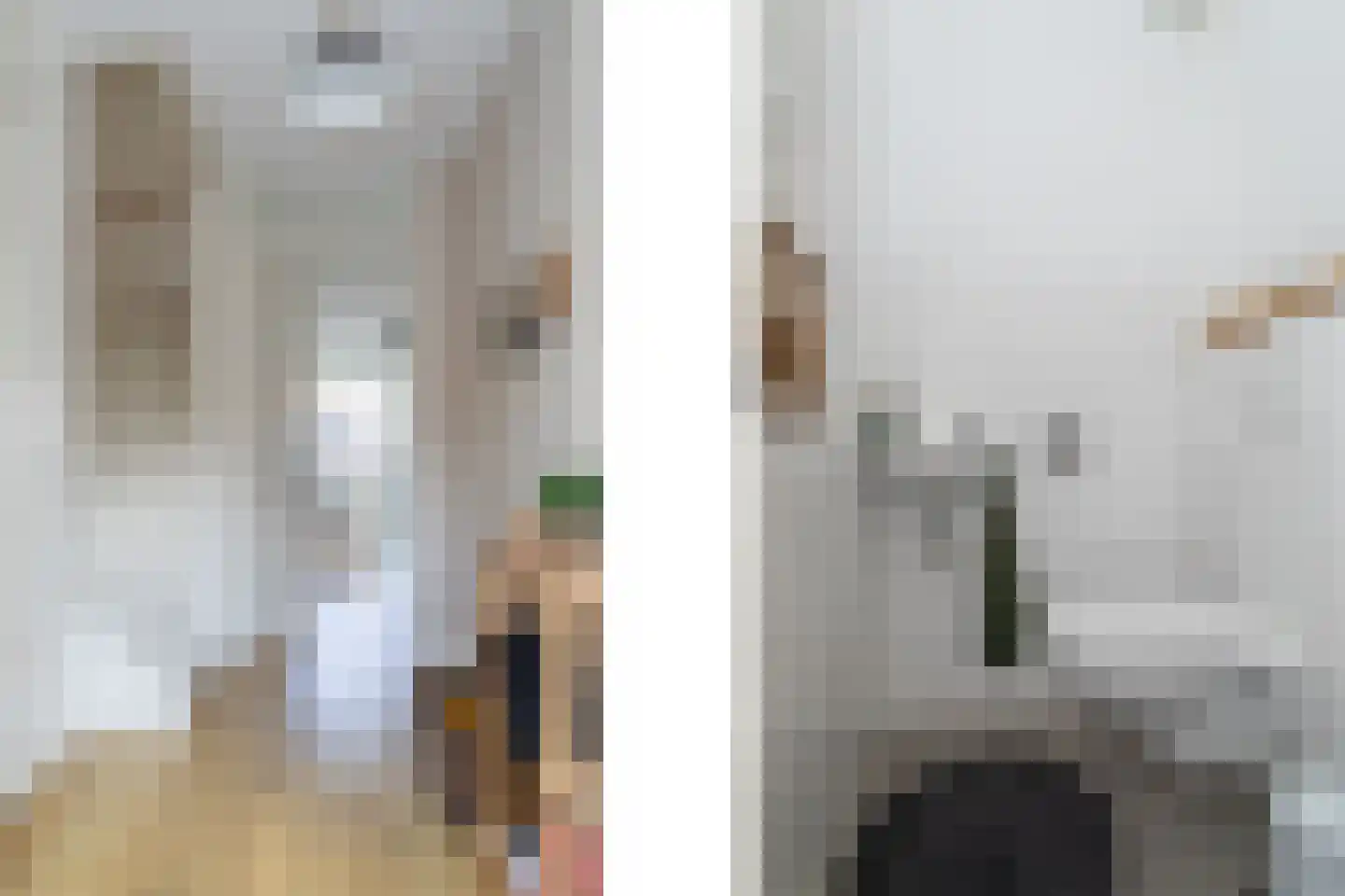 Draaistok 64 Boskoop thumbnail 19