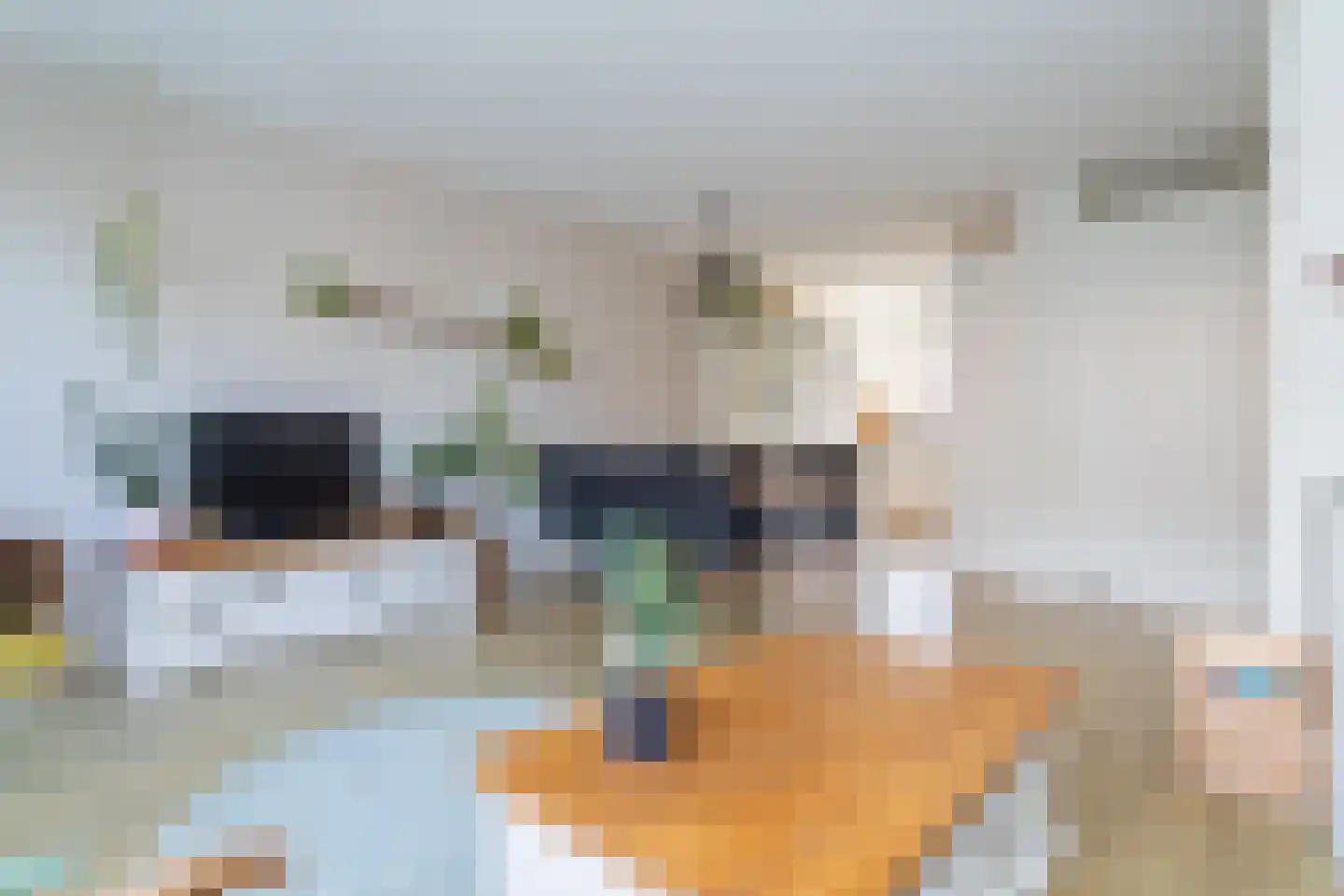 Draaistok 64 Boskoop thumbnail 7