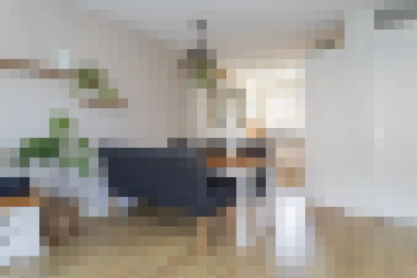 Draaistok 64 Boskoop thumbnail 8