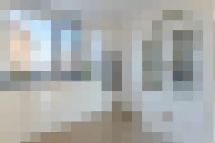 Draaistok 79 Boskoop thumbnail 14