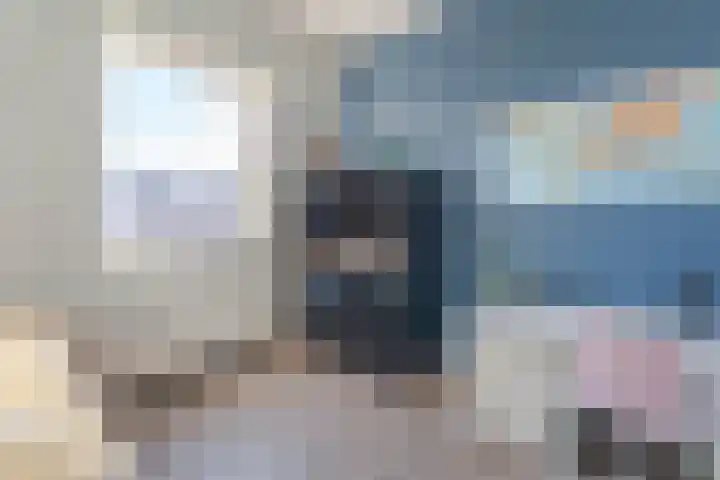 Draaistok 79 Boskoop thumbnail 19