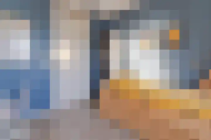 Draaistok 79 Boskoop thumbnail 20