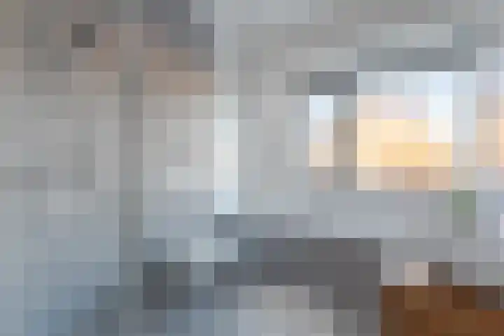 Draaistok 79 Boskoop thumbnail 23