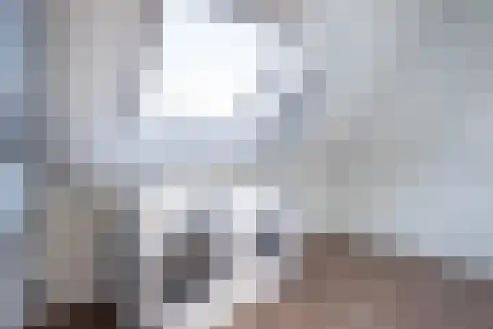 Draaistok 79 Boskoop thumbnail 27