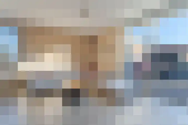 Draaistok 79 Boskoop thumbnail 5