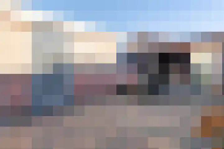 Draaistok 79 Boskoop thumbnail 6