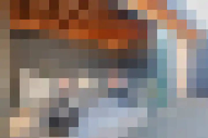 Draaistok 79 Boskoop thumbnail 8