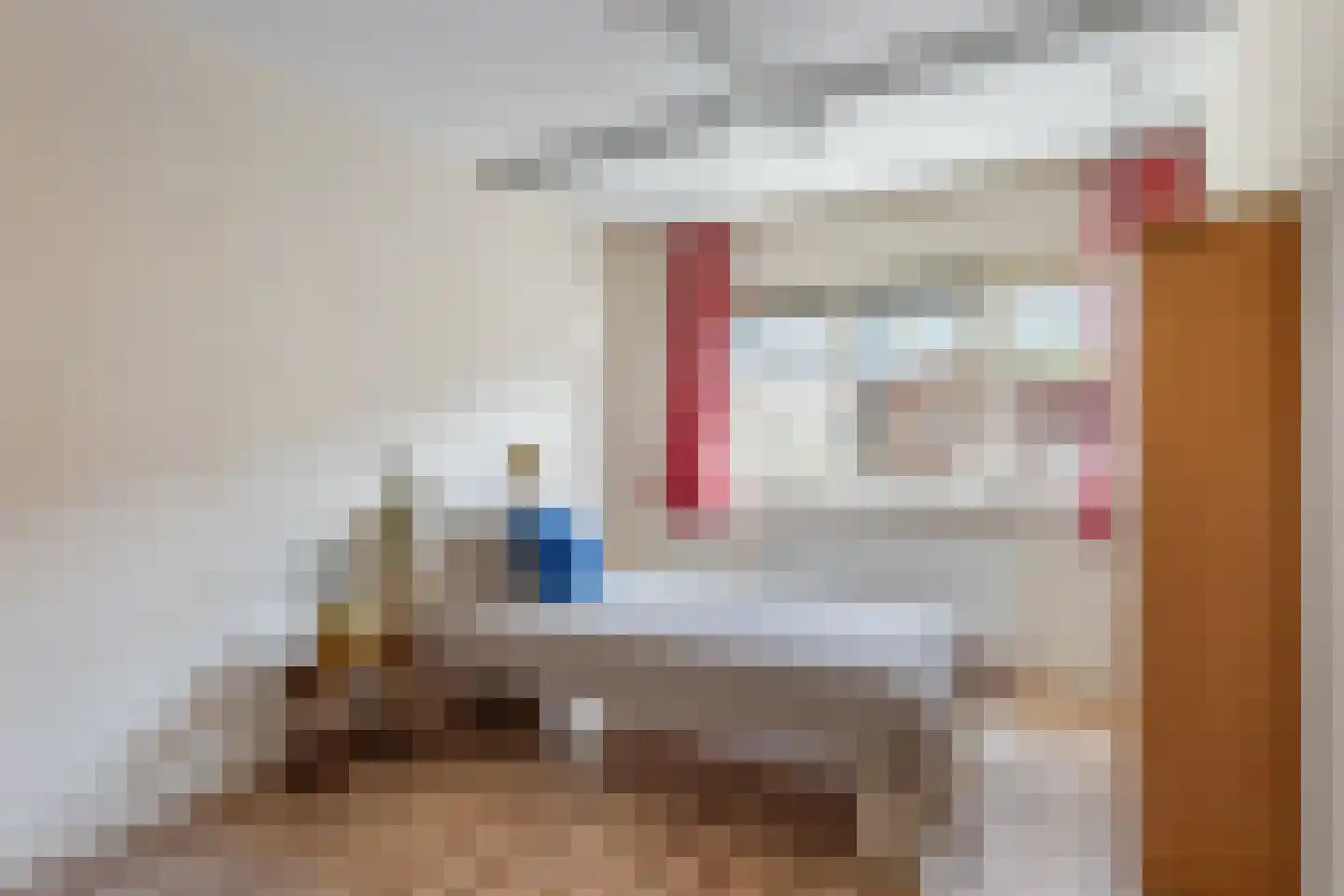 Draaitor 10 Hengelo thumbnail 12