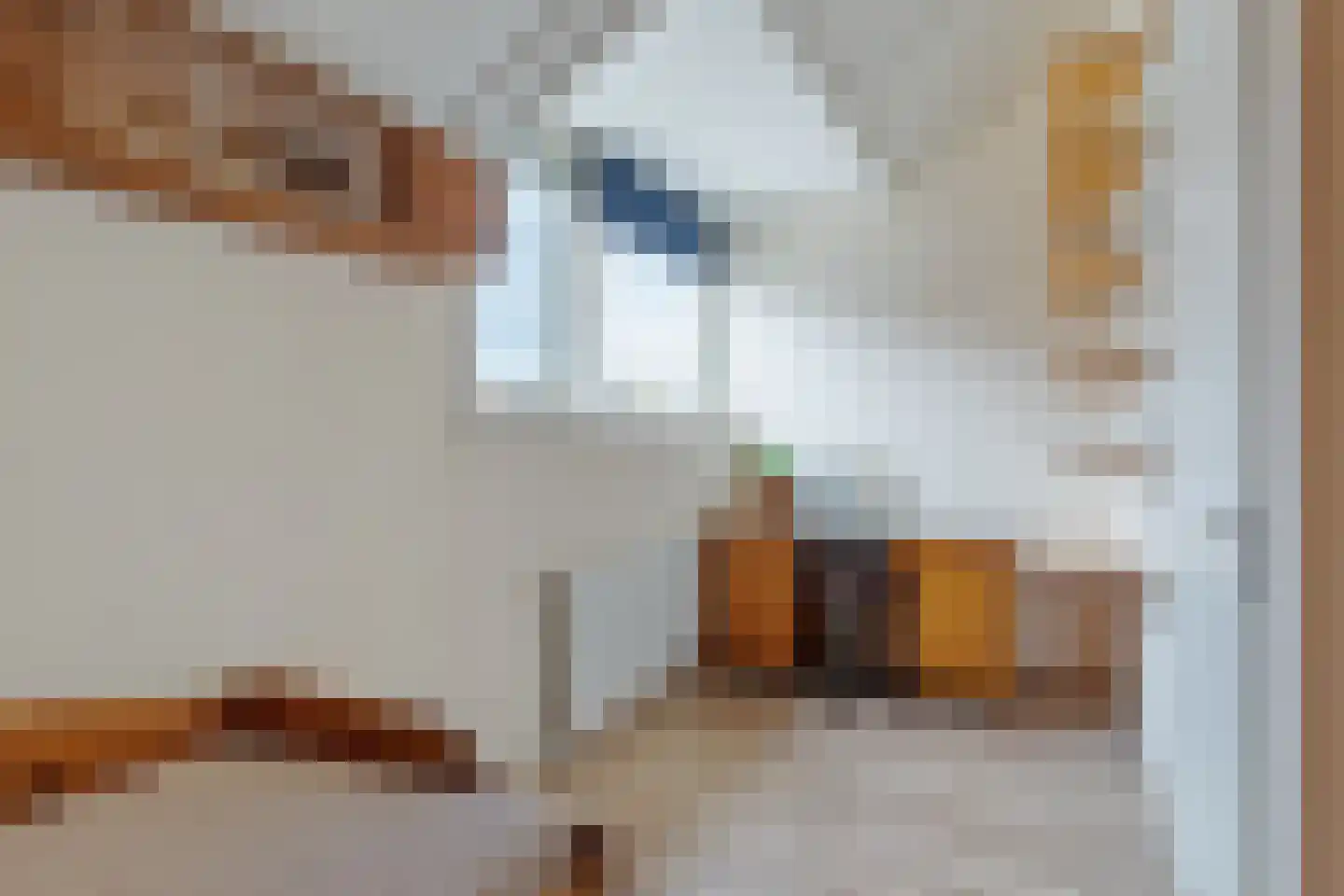 Draaitor 10 Hengelo thumbnail 17