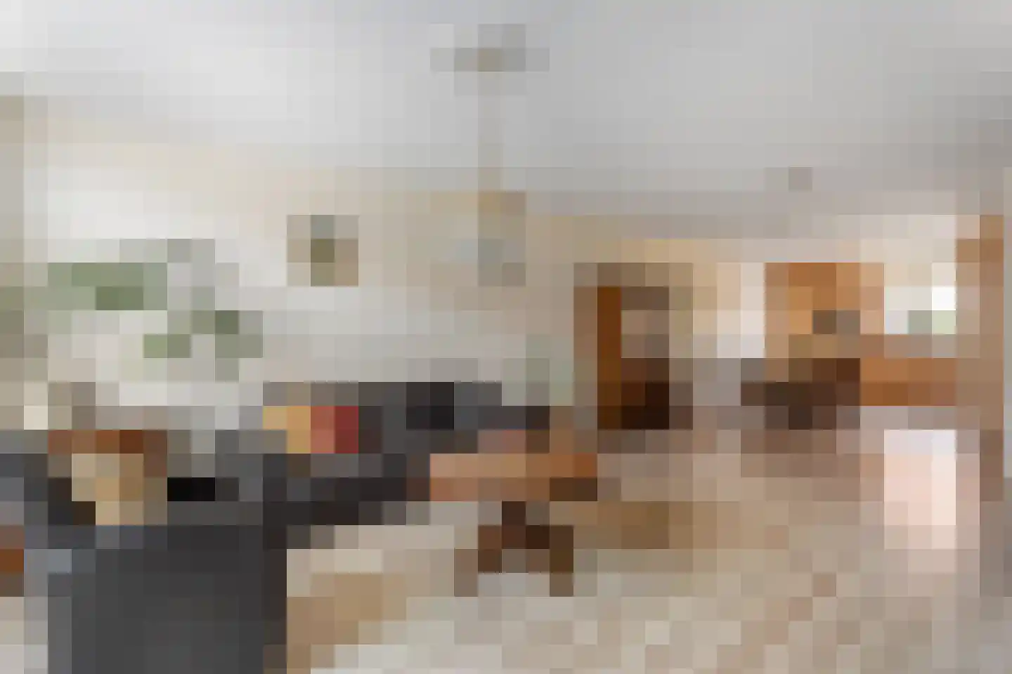 Draaitor 10 Hengelo thumbnail 8
