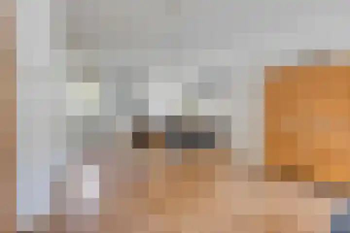 Draaitor 12 Hengelo thumbnail 11