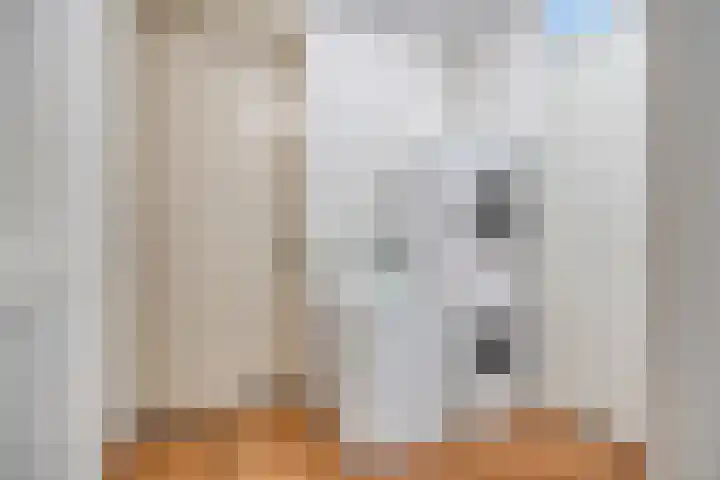 Draaitor 12 Hengelo thumbnail 24