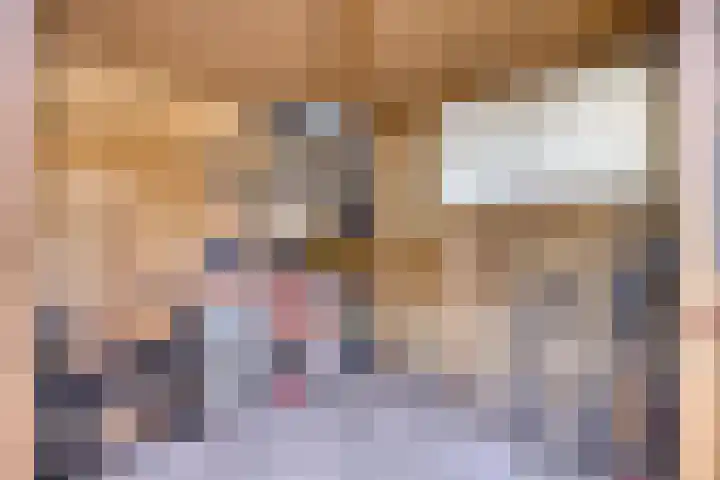 Draaitor 12 Hengelo thumbnail 35