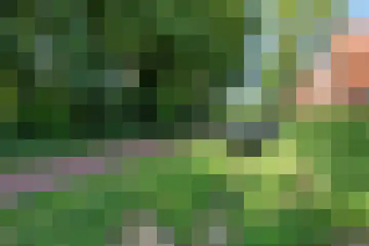 Draaitor 12 Hengelo thumbnail 37
