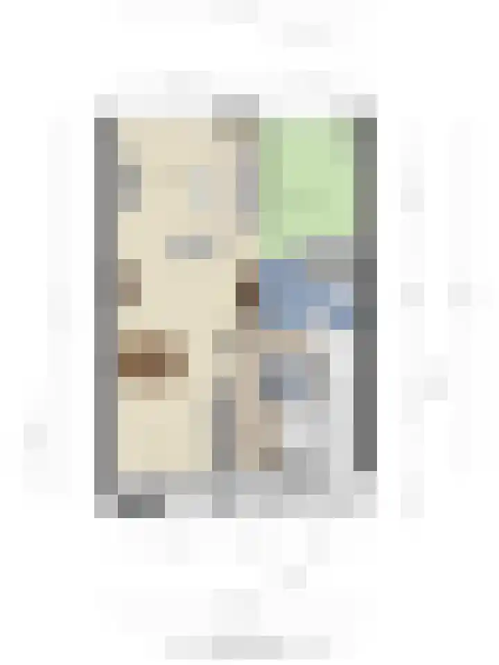 Draaitor 12 Hengelo thumbnail 40