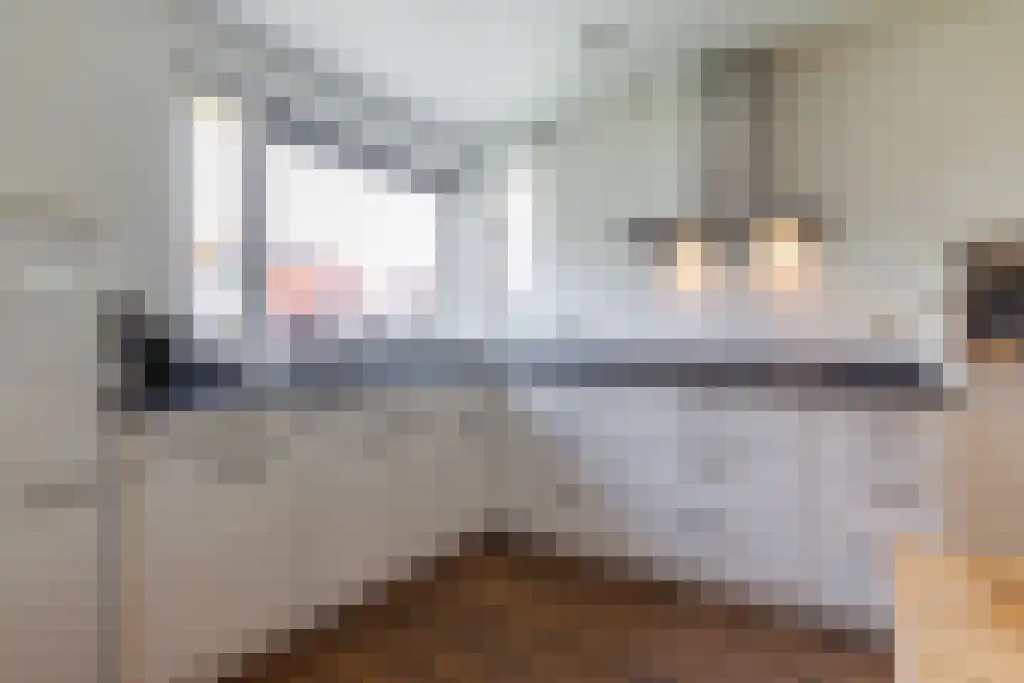 Draaitor 14 Hengelo thumbnail 15