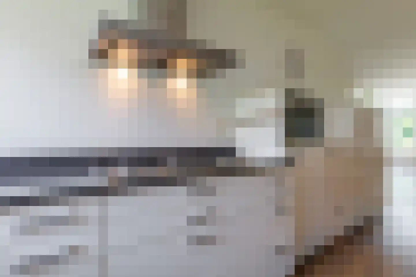 Draaitor 14 Hengelo thumbnail 17
