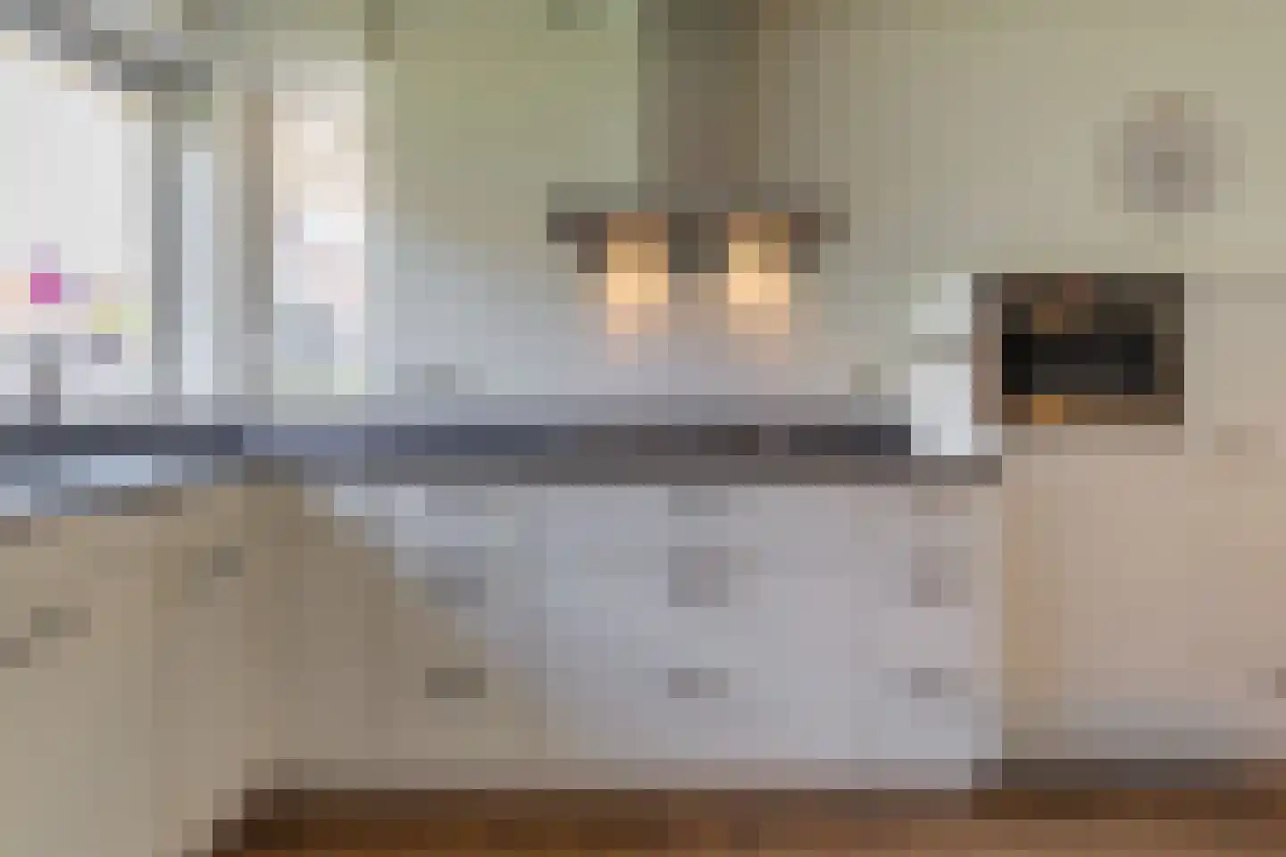 Draaitor 14 Hengelo thumbnail 18