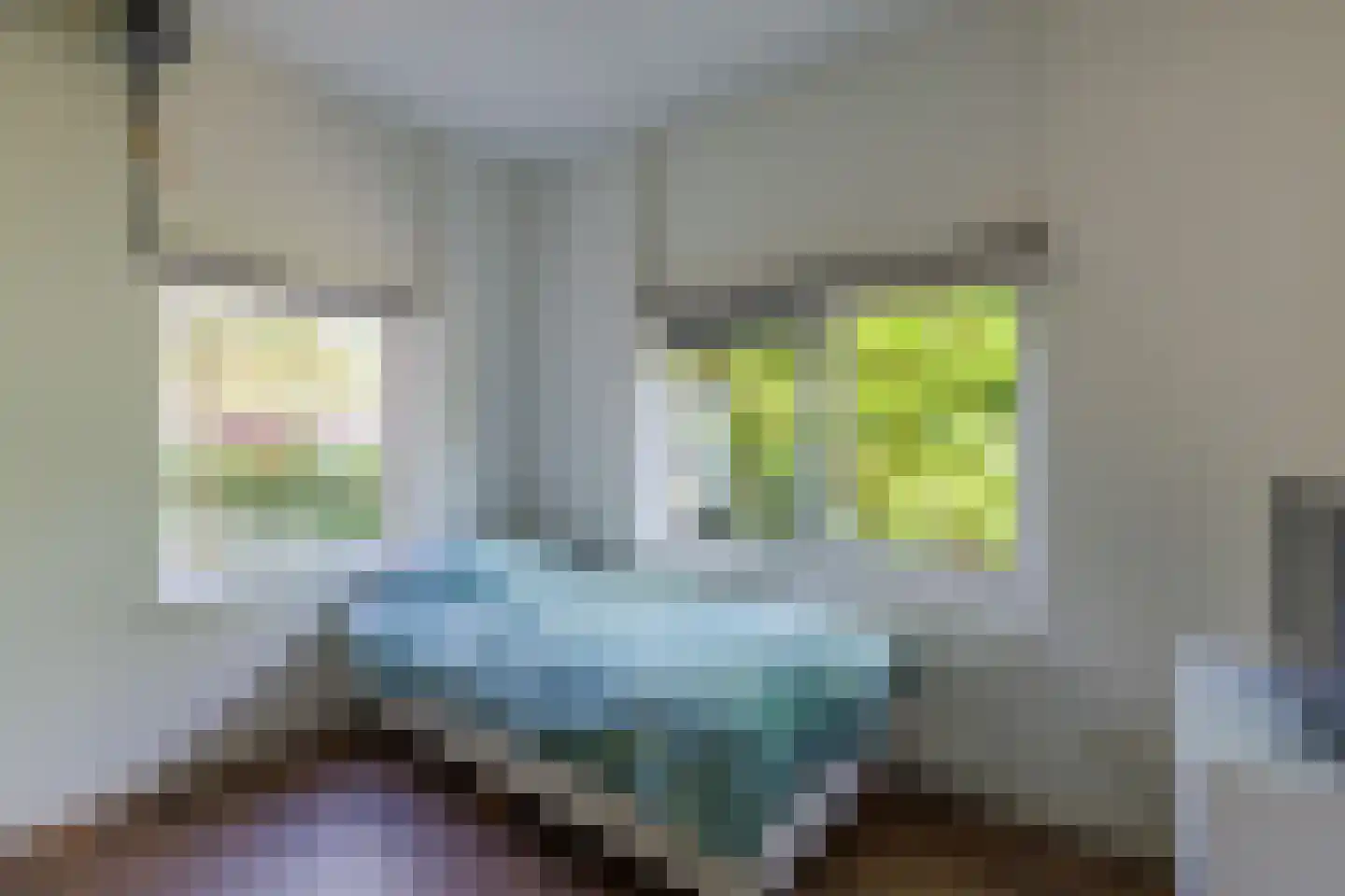 Draaitor 14 Hengelo thumbnail 24