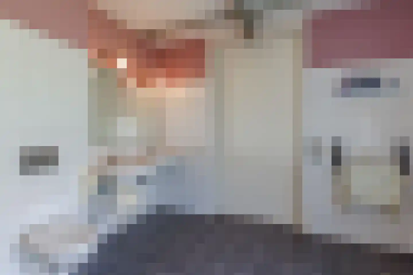 Draaitor 14 Hengelo thumbnail 28