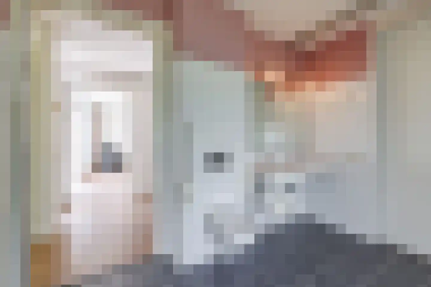Draaitor 14 Hengelo thumbnail 29