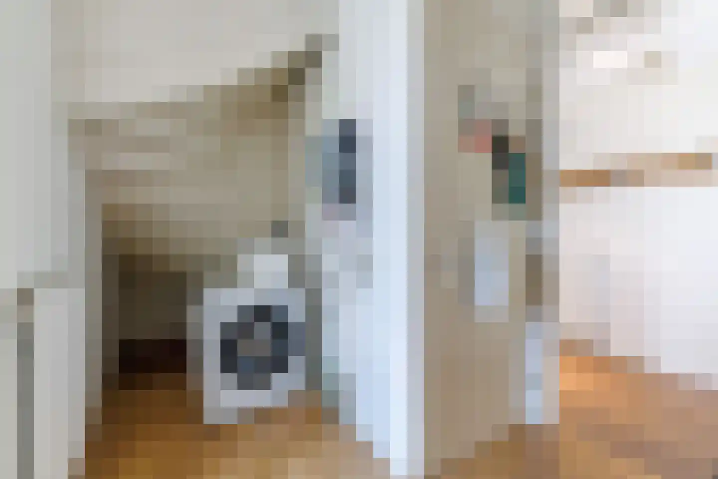 Draaitor 14 Hengelo thumbnail 32