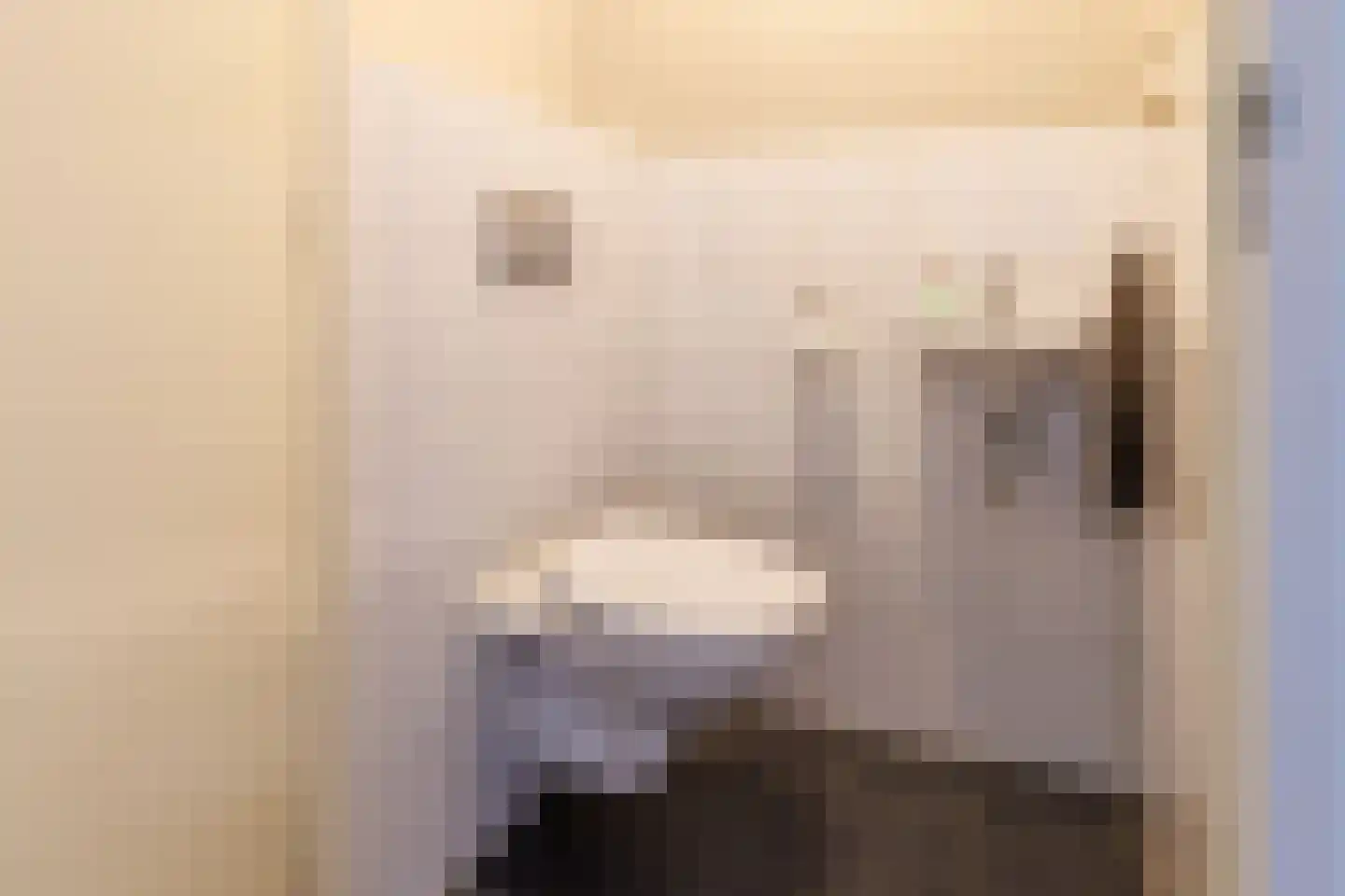 Draaitor 14 Hengelo thumbnail 33