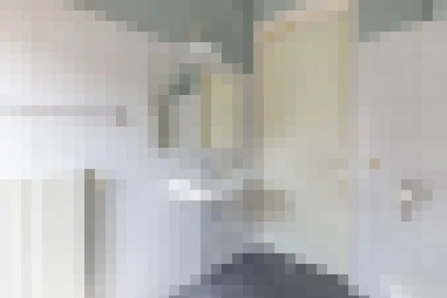 Draaitor 14 Hengelo thumbnail 44