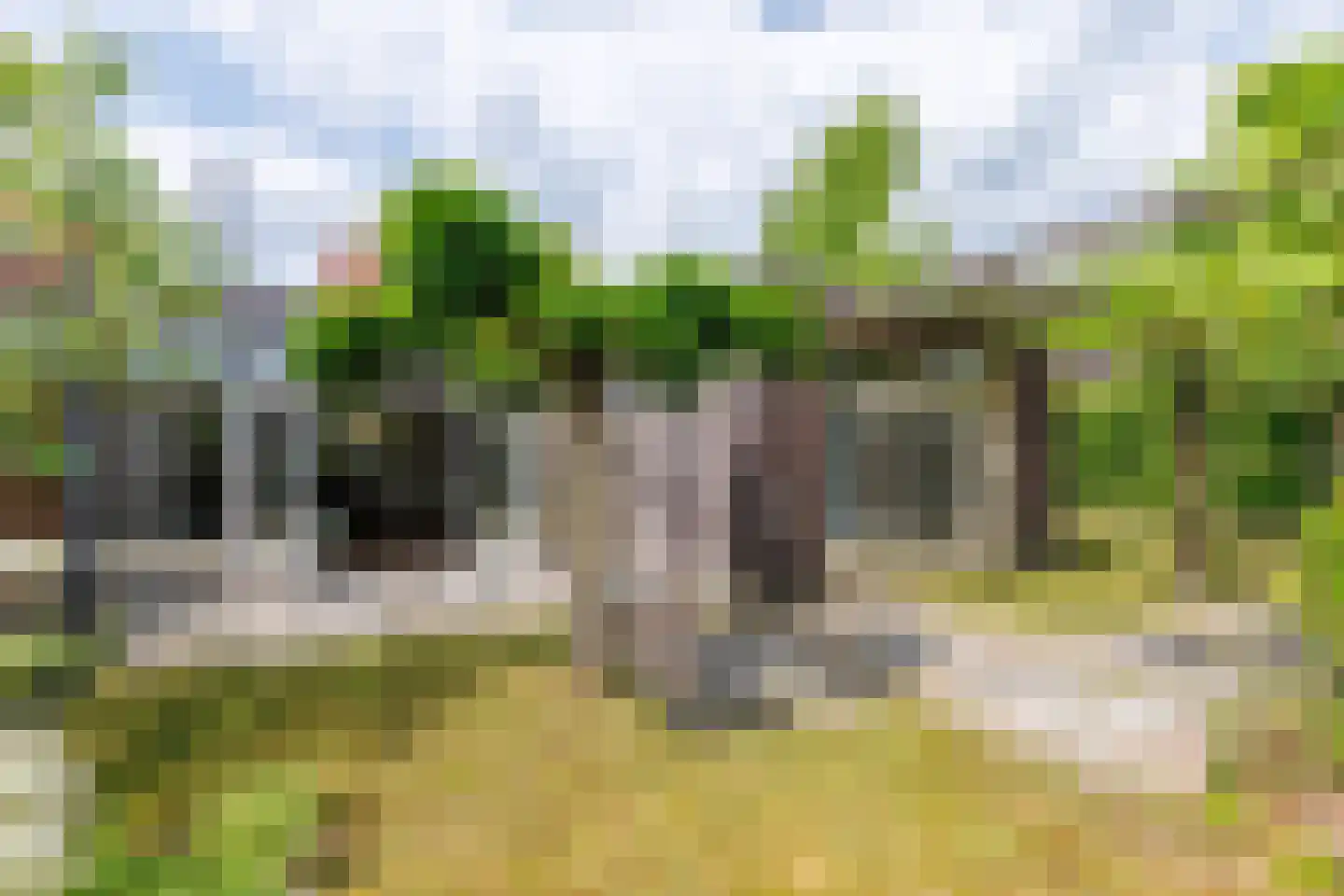 Draaitor 14 Hengelo thumbnail 51
