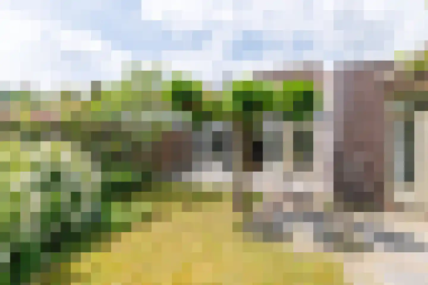 Draaitor 14 Hengelo thumbnail 52