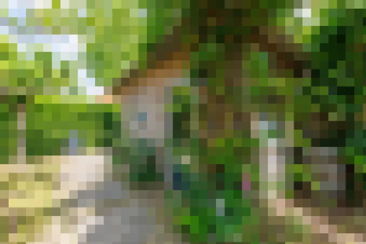 Draaitor 14 Hengelo thumbnail 55