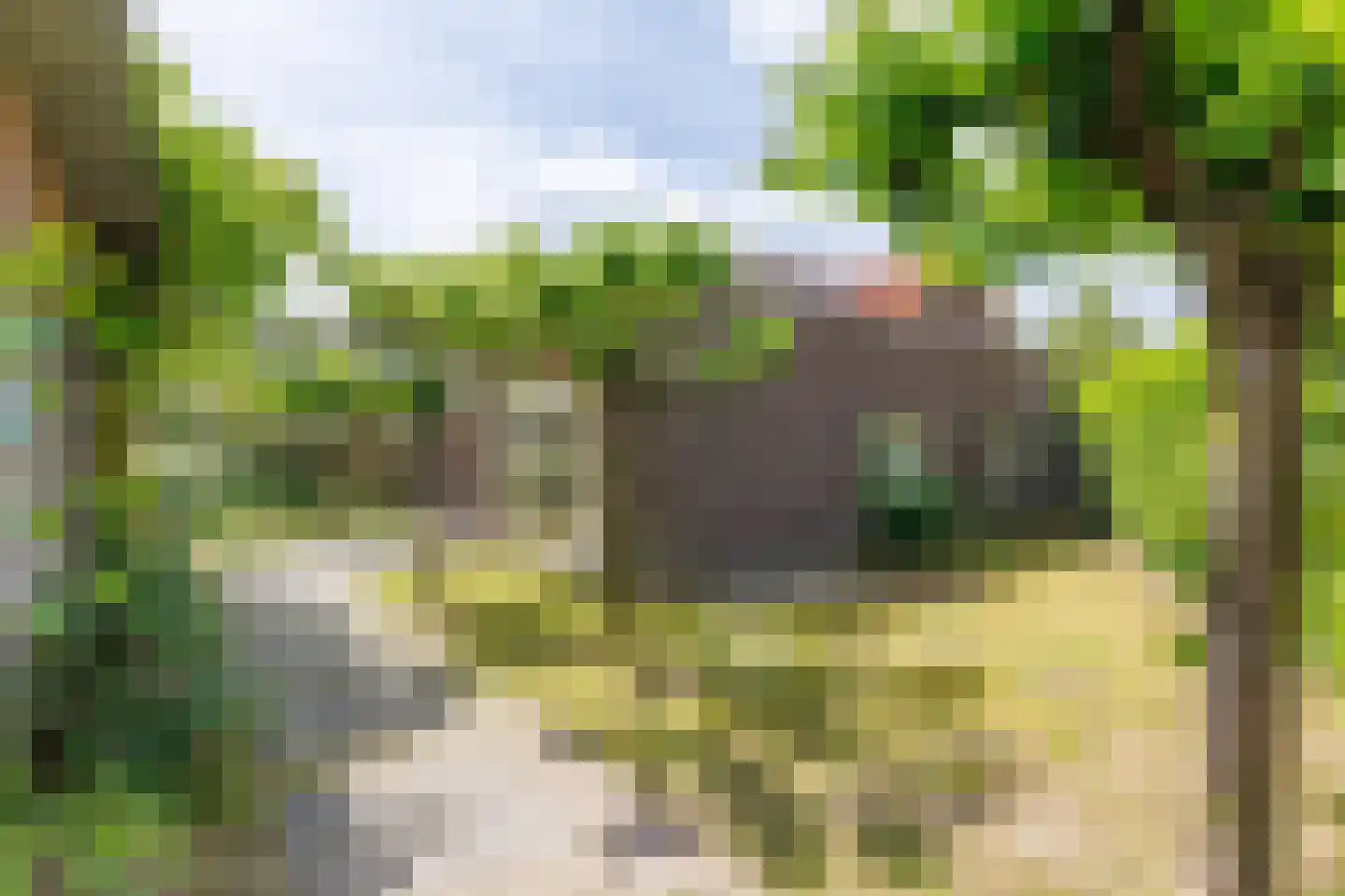 Draaitor 14 Hengelo thumbnail 56