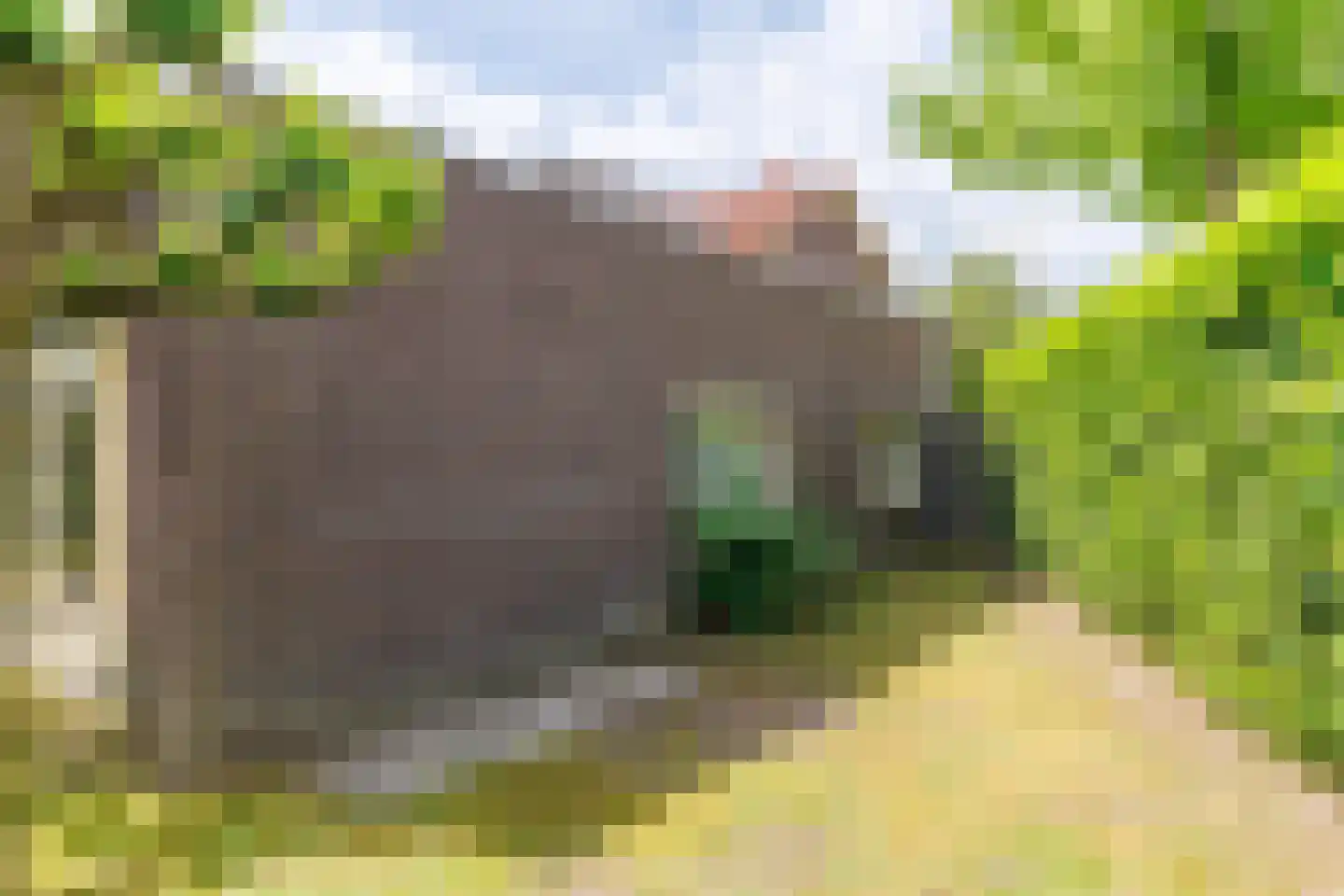 Draaitor 14 Hengelo thumbnail 57