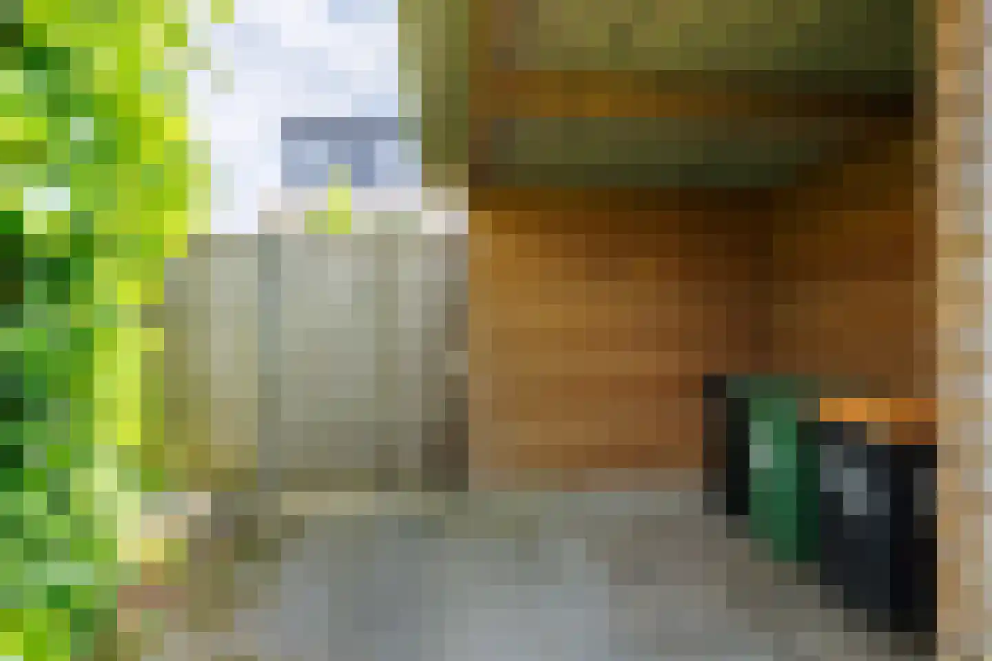 Draaitor 14 Hengelo thumbnail 58