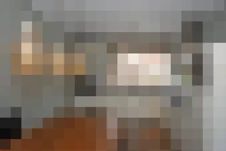 Draaitor 17 Hengelo thumbnail 10