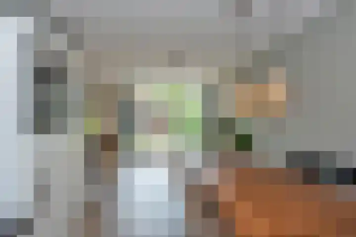 Draaitor 17 Hengelo thumbnail 12