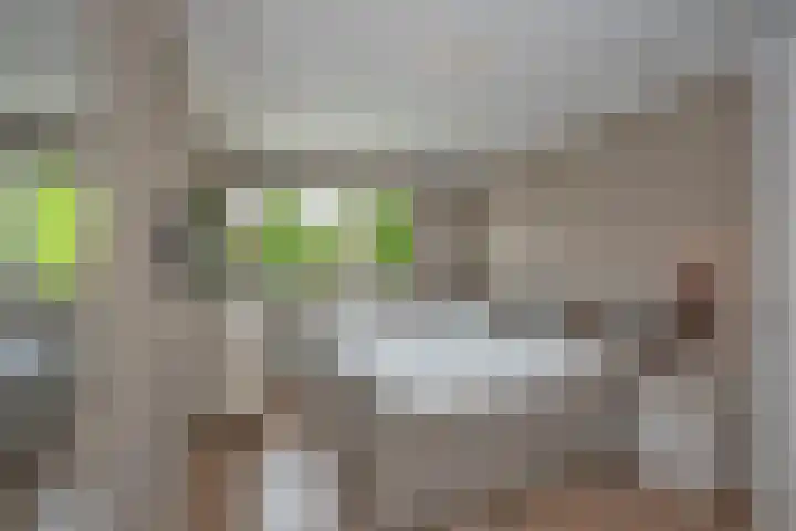 Draaitor 17 Hengelo thumbnail 15