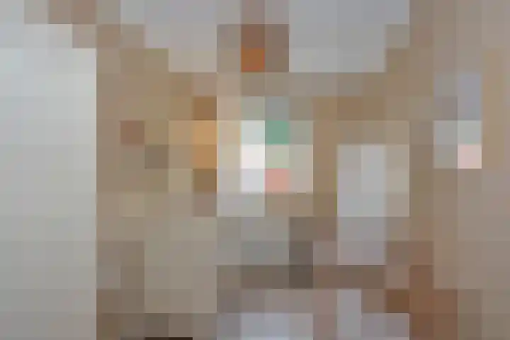 Draaitor 17 Hengelo thumbnail 22