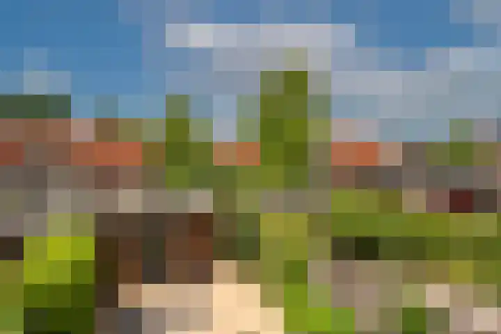 Draaitor 17 Hengelo thumbnail 28