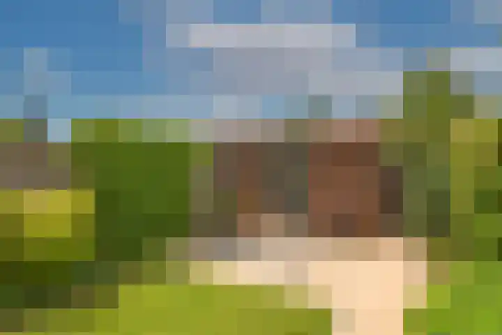 Draaitor 17 Hengelo thumbnail 29