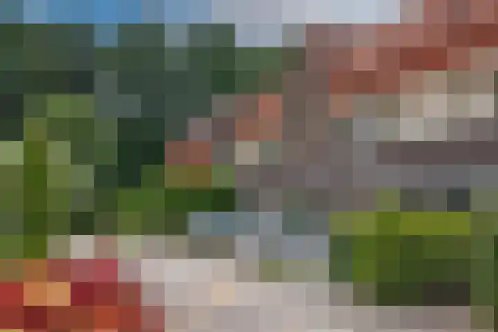 Draaitor 17 Hengelo thumbnail 33