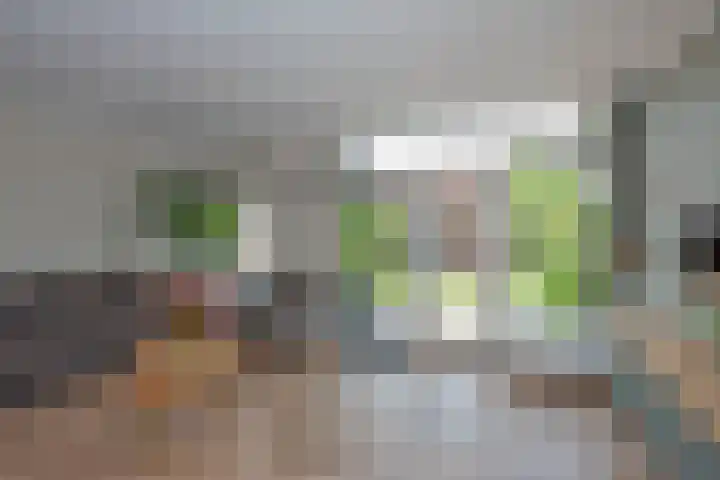 Draaitor 17 Hengelo thumbnail 7